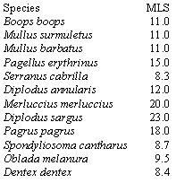 Minimum Landing Sizes (MLS) for 13 fish species in Greek waters (from Stergiou et al., in press).