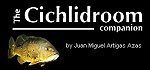 JM_Cichlidae