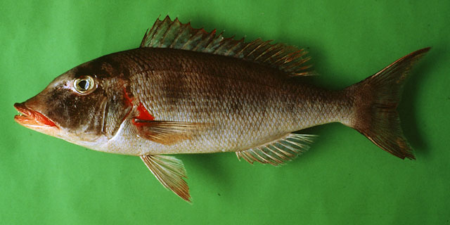 Lecon_u1.jpg